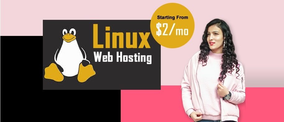 Grow your Business with our Web Hosting Services